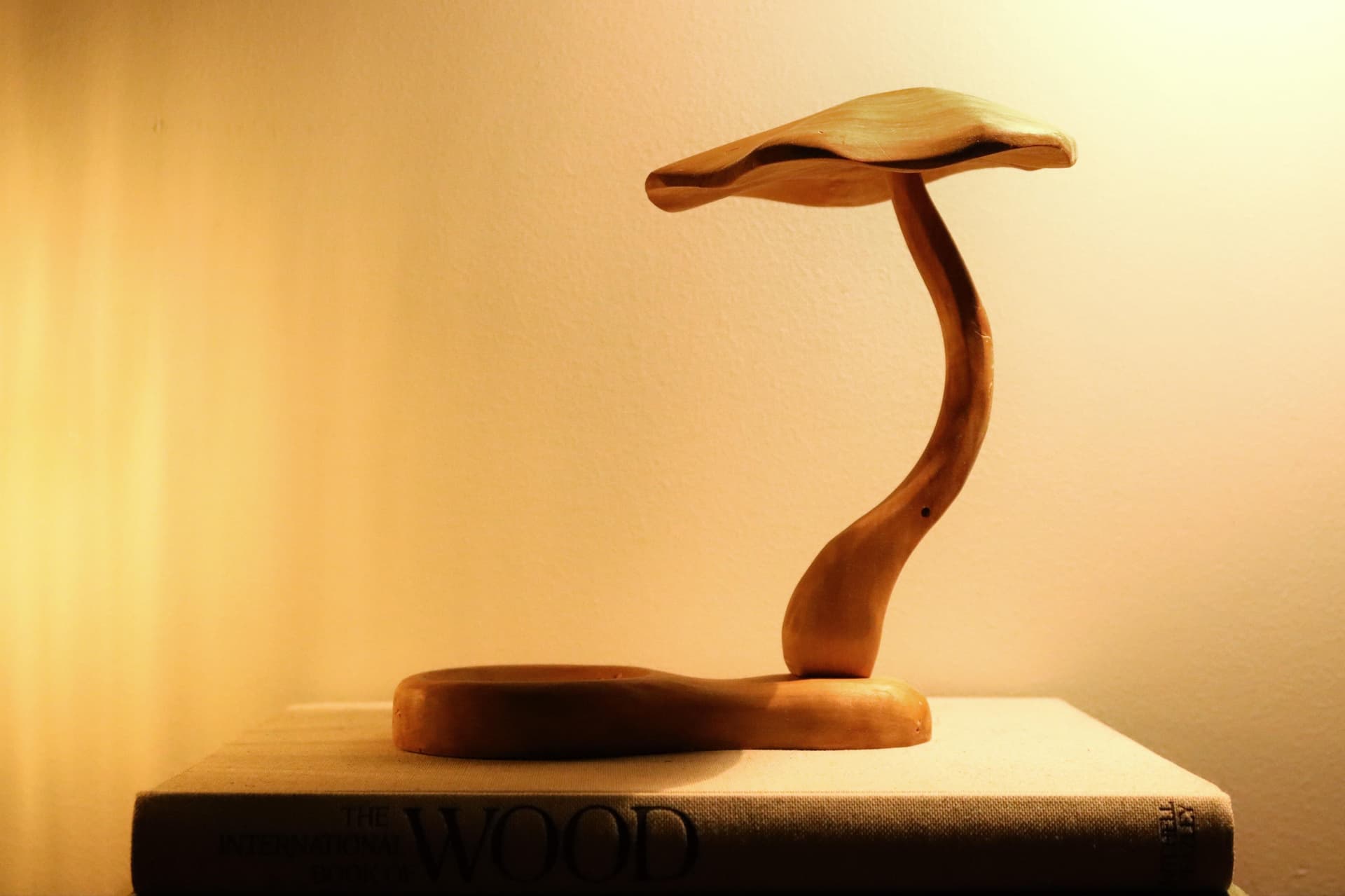 Preserved Mushroom Decor Capturing the Beauty of Nature’s Wild Fungi