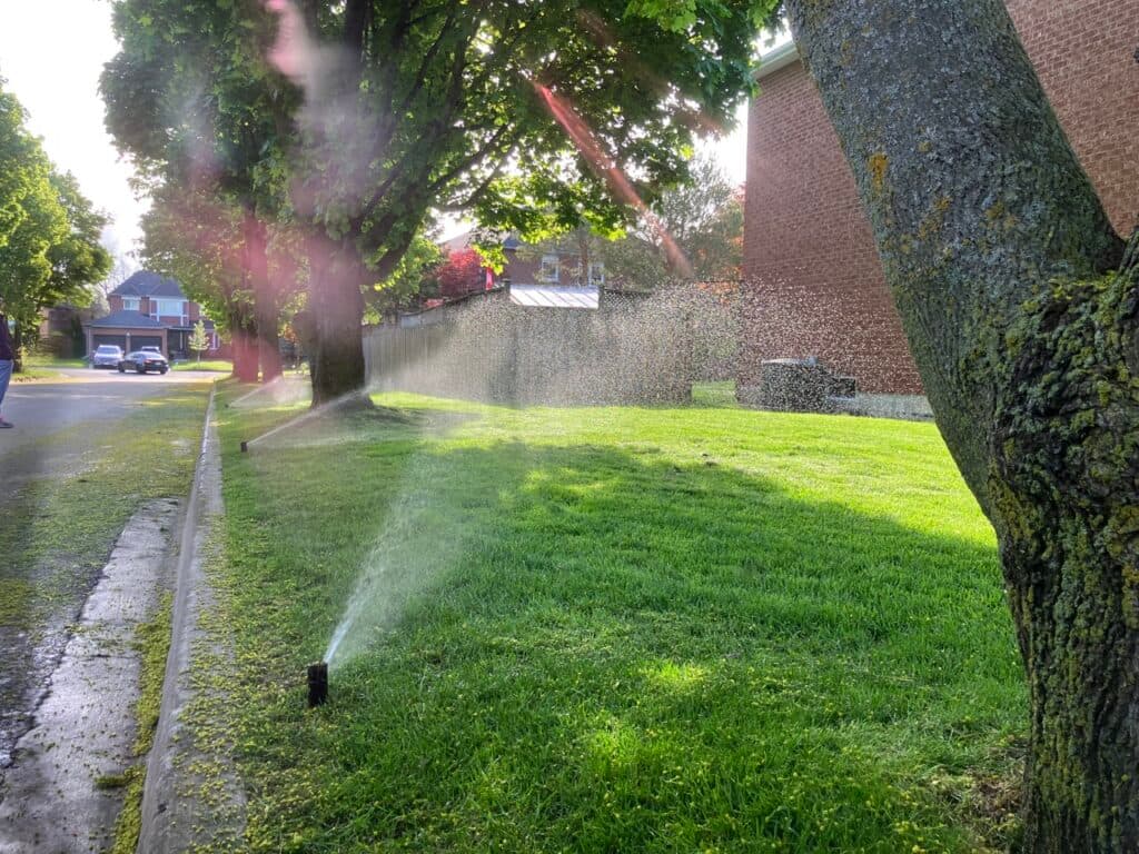 The Sprinkler Company Inc | Commercial Sprinkler System Specialists