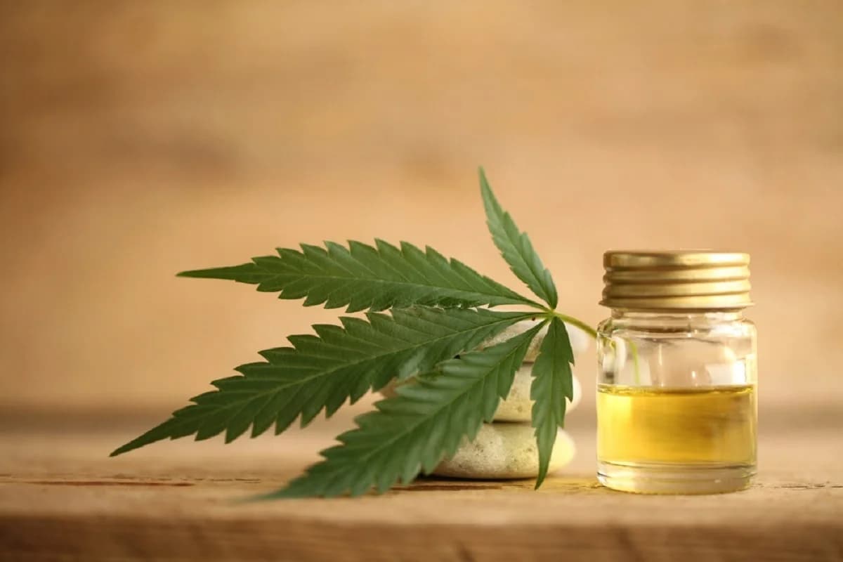 24 Hour Smoke Shop Near Me Miami – Enjoy Miami Rave’s Treats Anytime