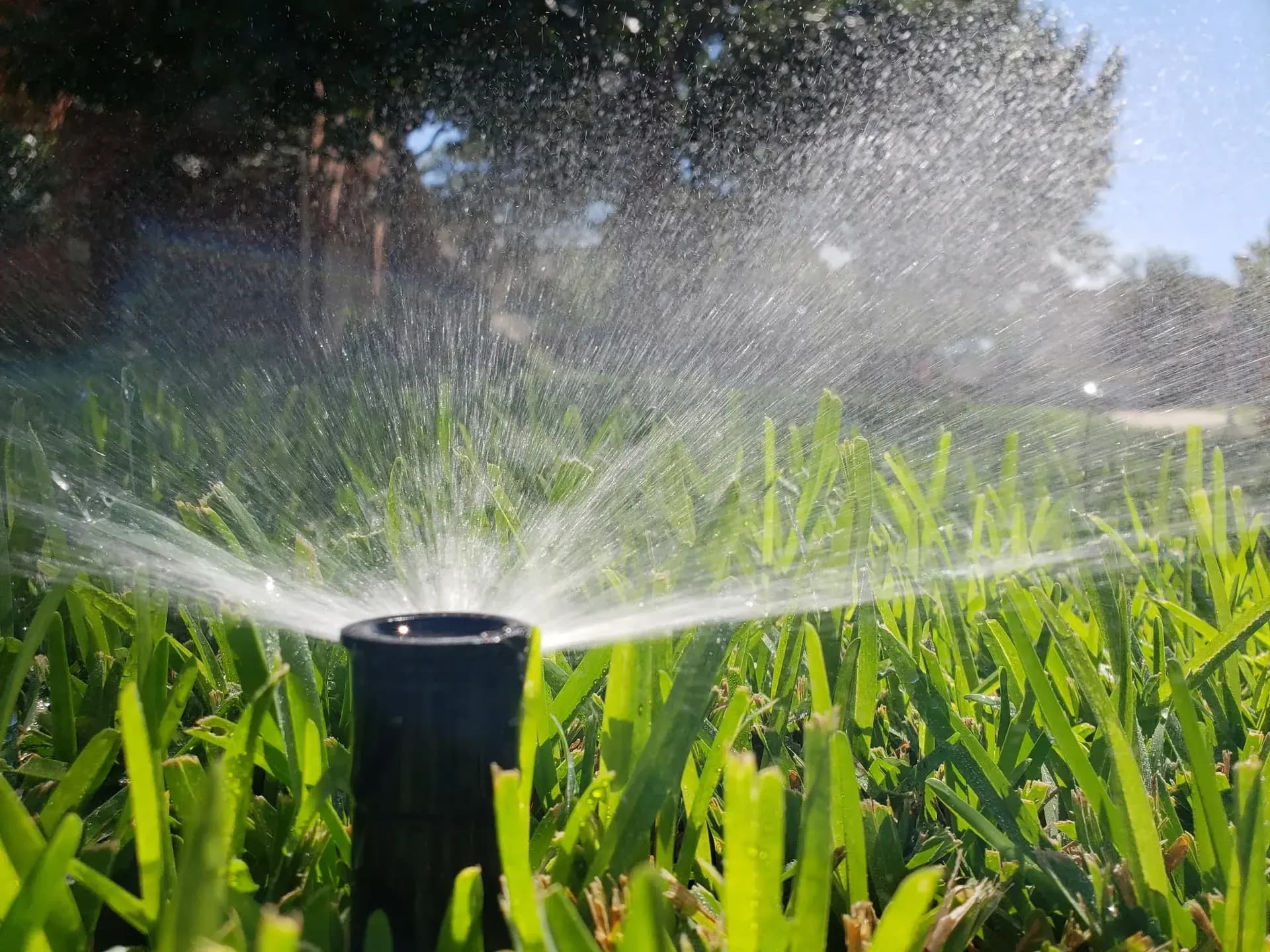 Professional Irrigation Services in Keller, TX for Water-Efficient Lawns