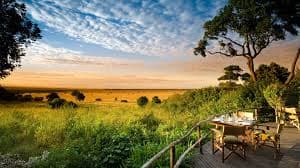 African Safari Adventures | Explore Wildlife with JExtraordinary Safaris