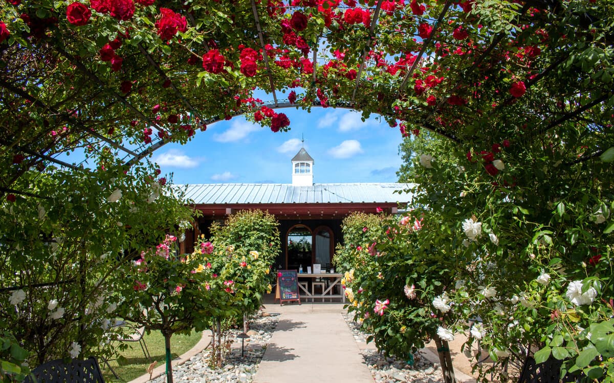 Discover Clarksburg California in the Delta Wine Region