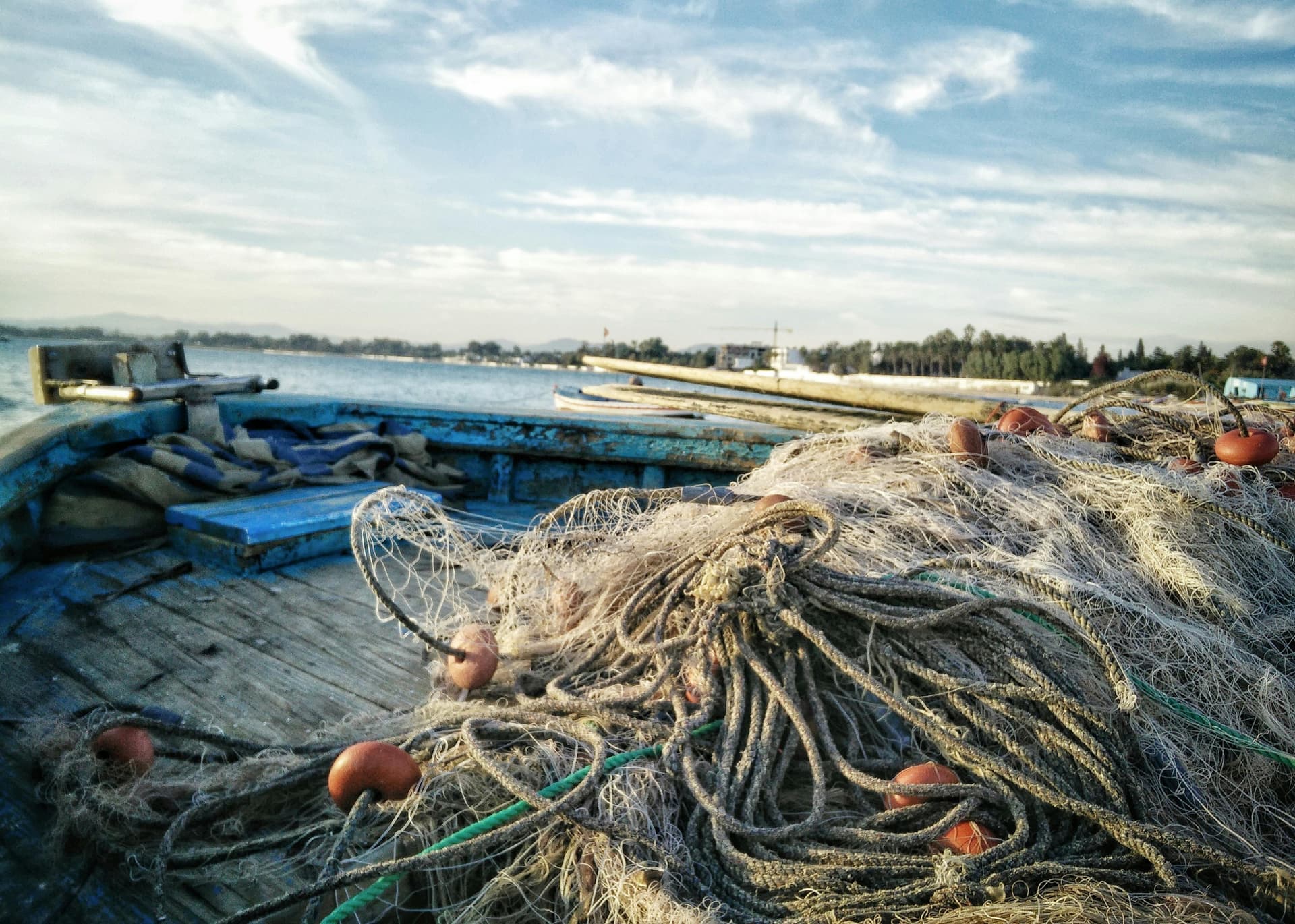 How to Choose the Perfect Fly Fishing Net for Your Catch