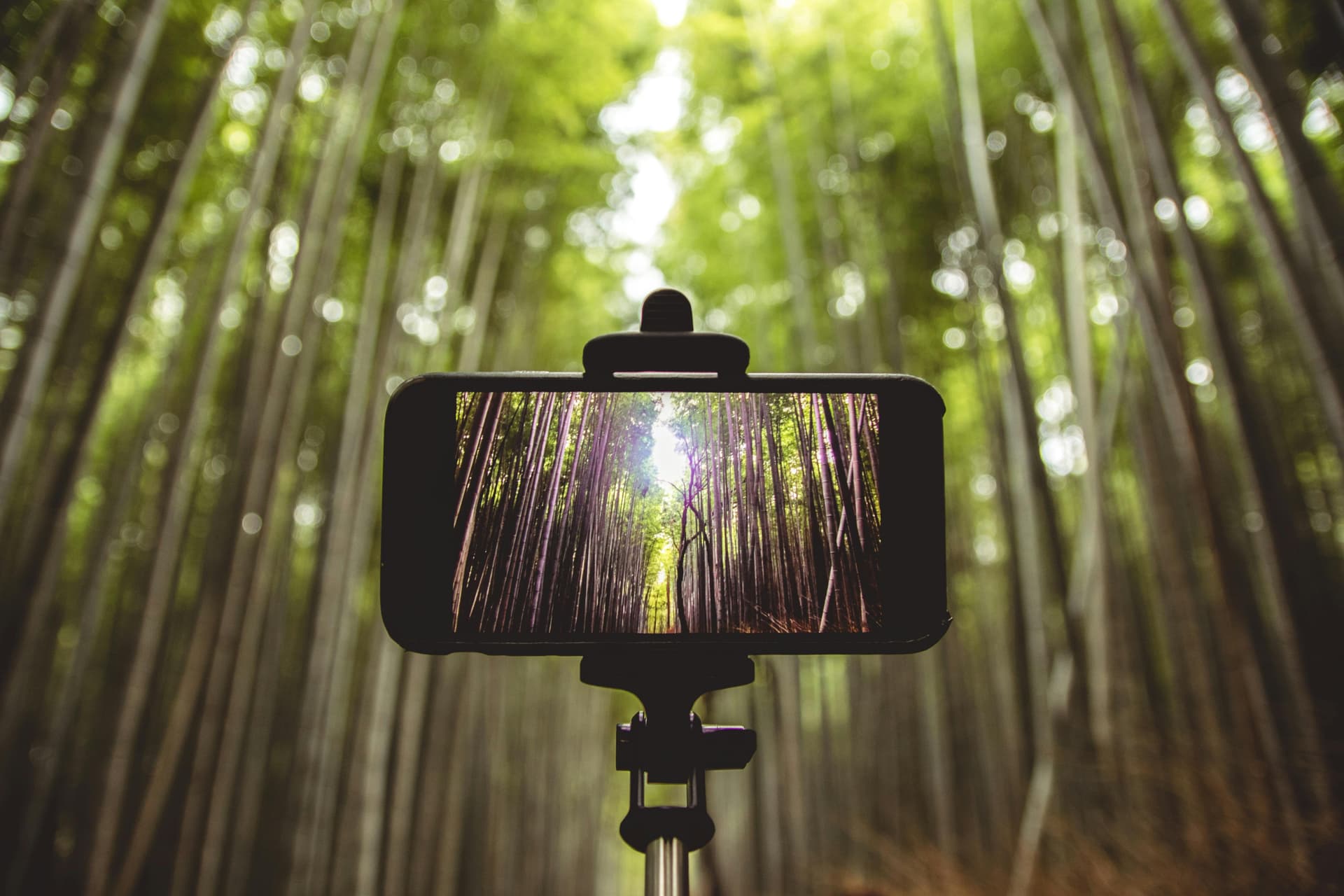 From Shaky Hands to Stable Shots: Gimbal Stabilizer Magic