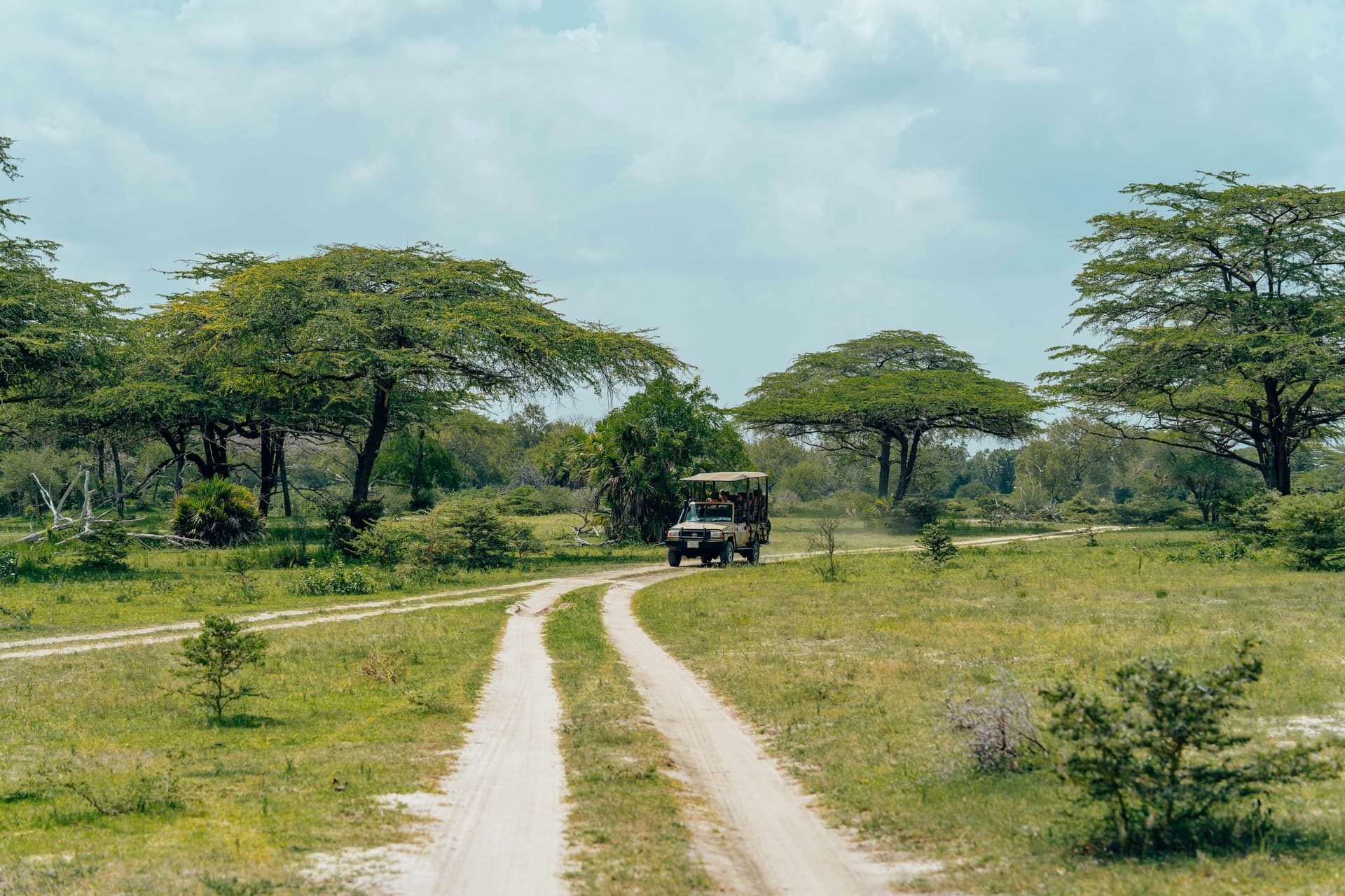 Kenya Tanzania Safari Experiences for Families and Couples