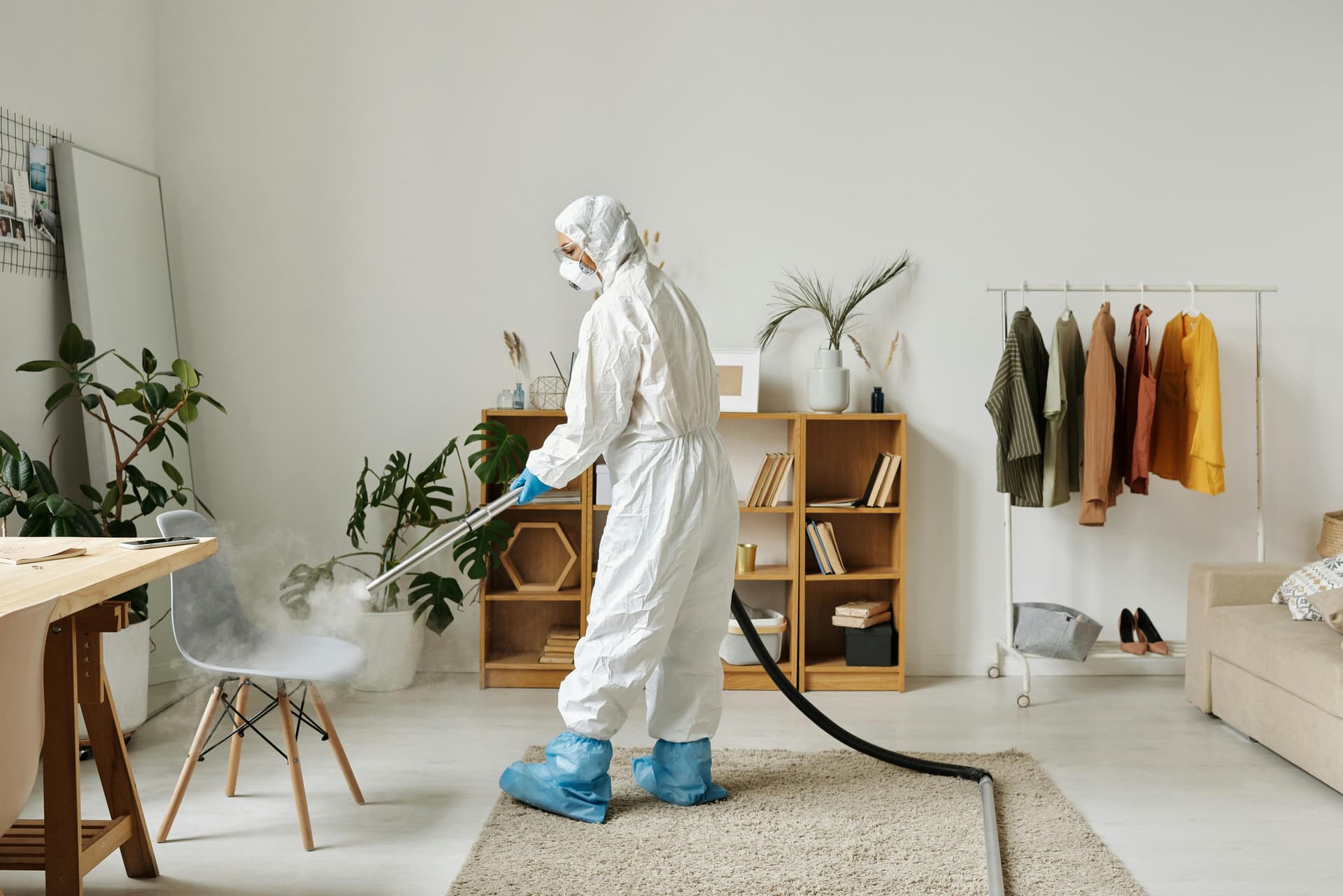 Make Your Home Shine with ECO Clean Ellie’s Expert House Cleaning