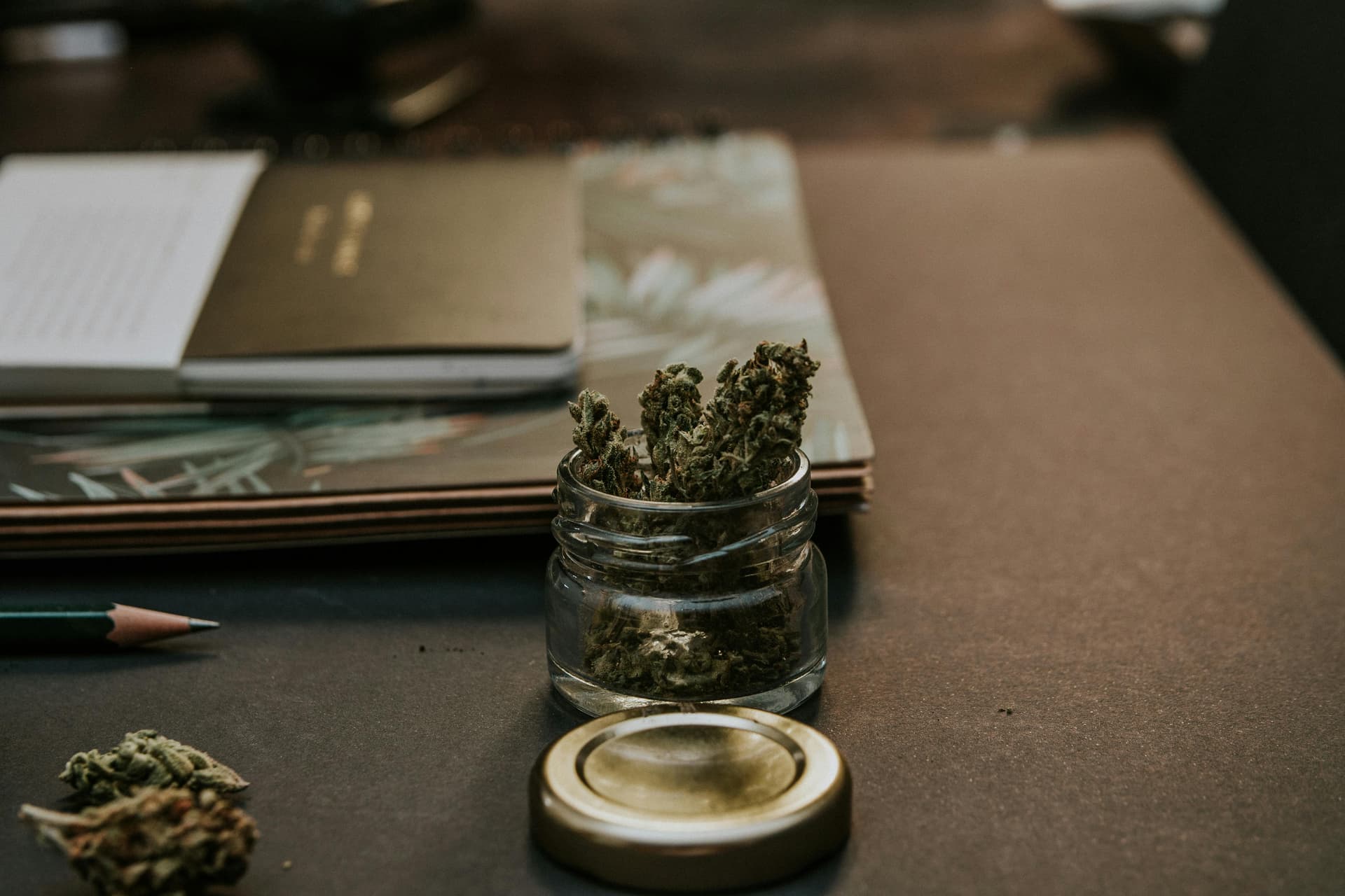 UNDERSTANDING THCA: A BEGINNER’S GUIDE TO THE NON-PSYCHOACTIVE COMPOUND