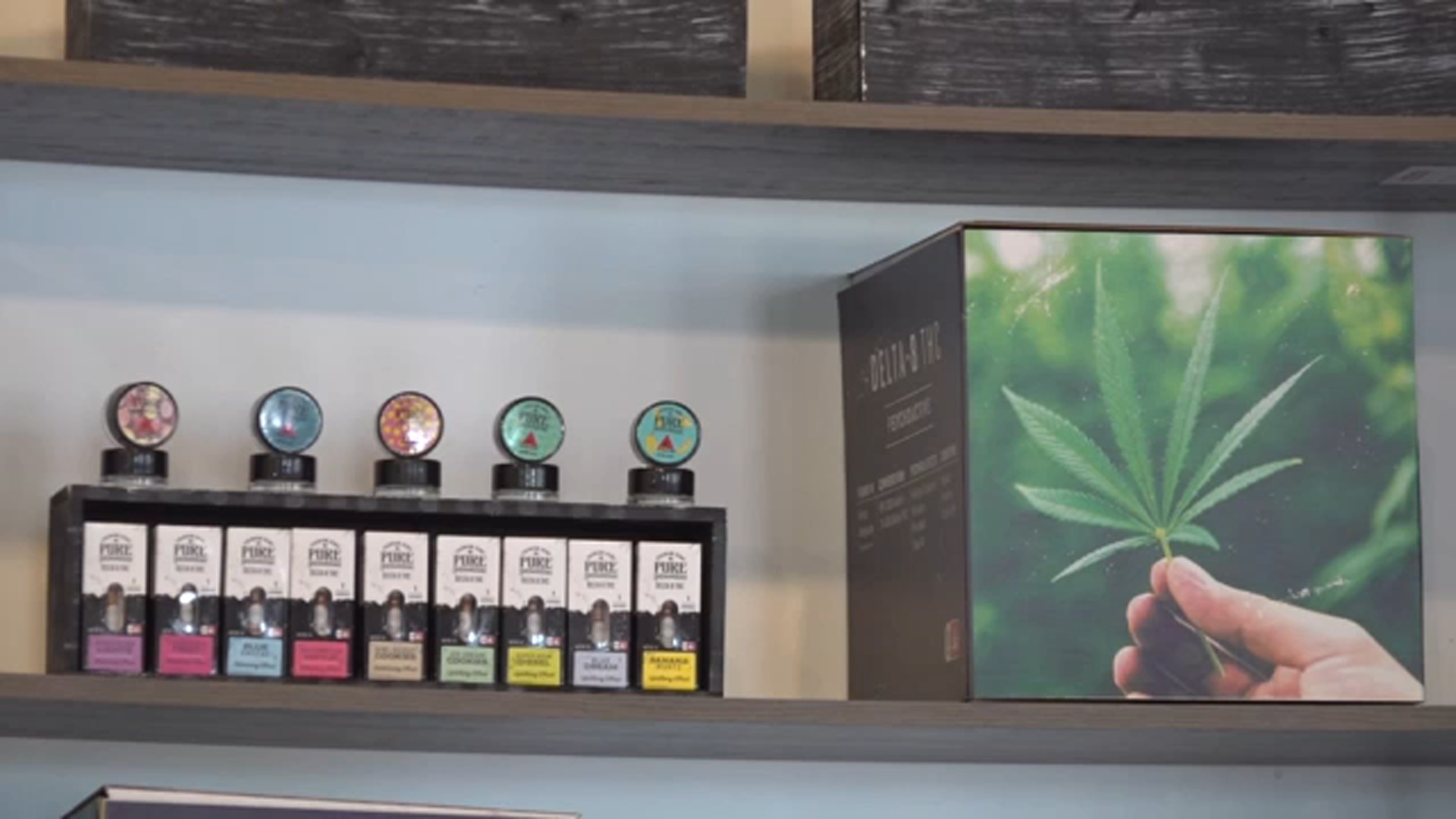 Local Insights on the Dispensary Near Me Open: A Comprehensive Guide