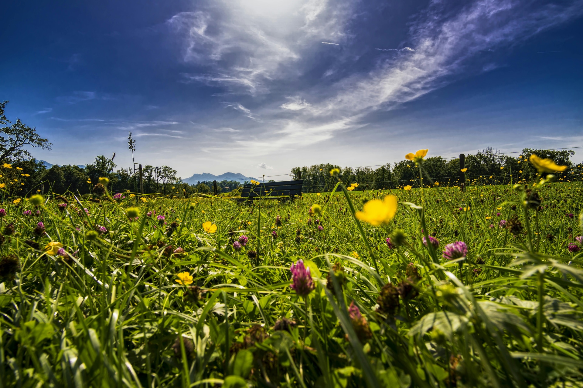 Naturerlebnisse und Kultur: Ausflügsziele im Allgäu