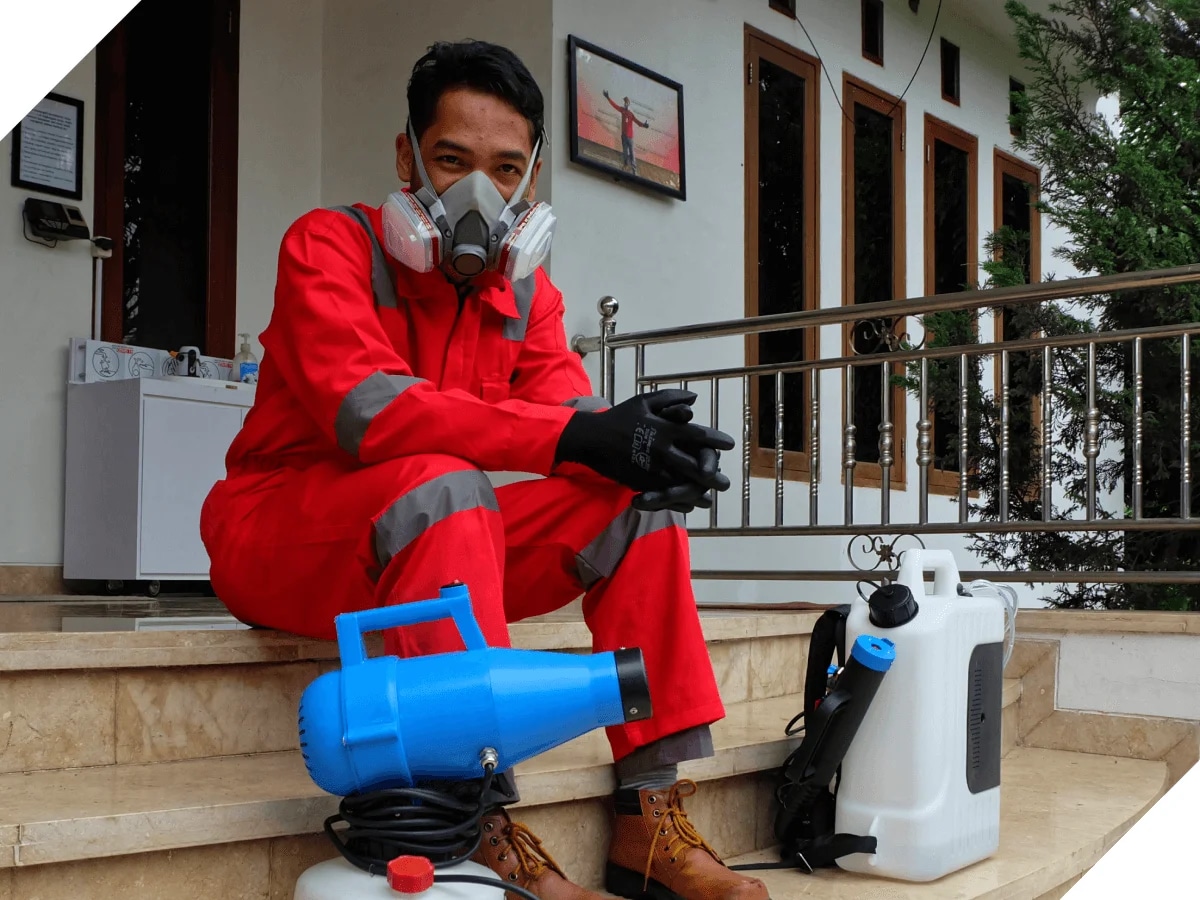 Jasa Anti Rayap Profesional untuk Properti Lebih Tahan Lama