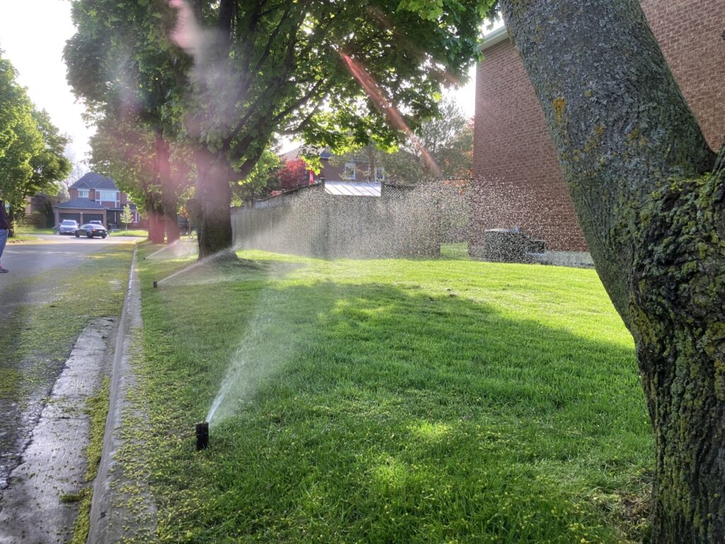 The Sprinkler Company Inc | Commercial Sprinkler System Specialists