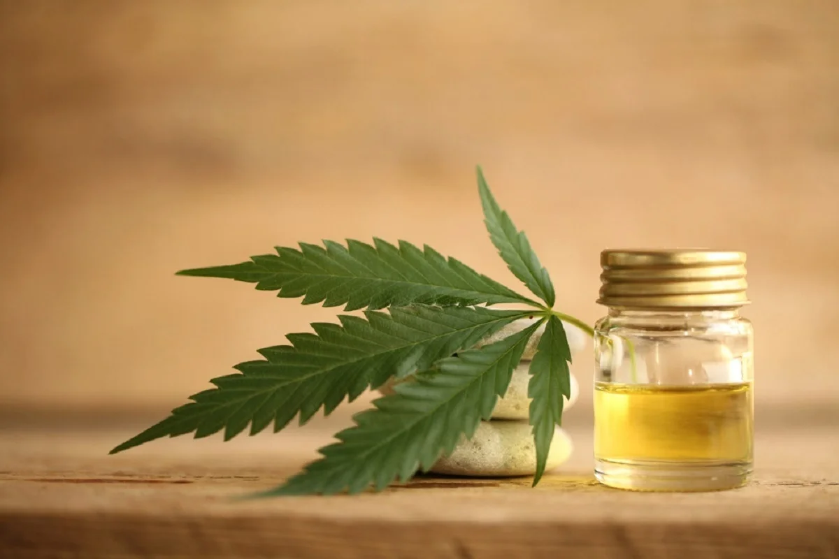 24 Hour Smoke Shop Near Me Miami – Enjoy Miami Rave’s Treats Anytime