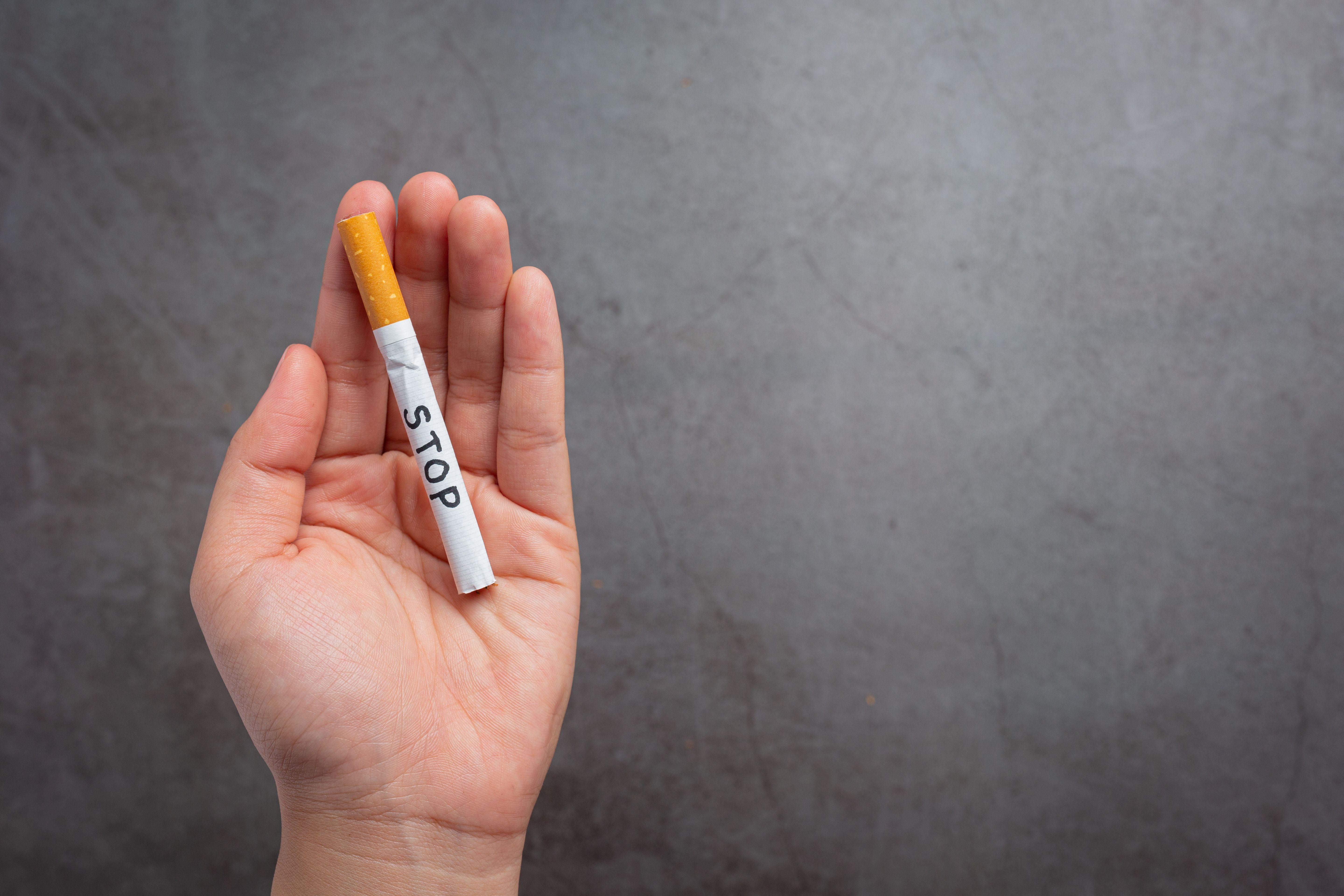 Buy Zyn Canada Easily at My Native Smokes