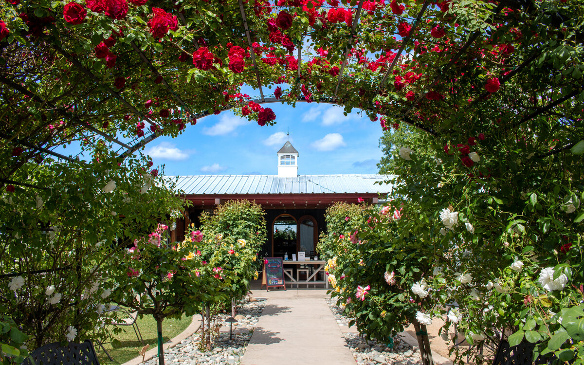 Discover Clarksburg California in the Delta Wine Region