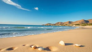 Experience the beauty of the coast with https://travelvixta.com showcasing a serene beach landscape and gentle waves.