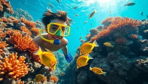 Swim with colorful tropical fish at https://egypt-snorkeling.com, exceptional underwater adventure in the Red Sea.