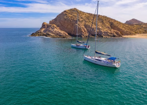 Cabo Fishing – Ultimate Angling Guides by Cabo Verified