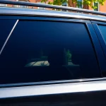 Enhance your ride's style with window tint Chattanooga on a sleek vehicle in a sunny neighborhood.