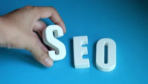Premium SEO Services In USA for Modern Brands